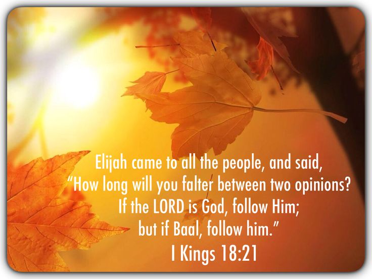 1-kings-18-2-best