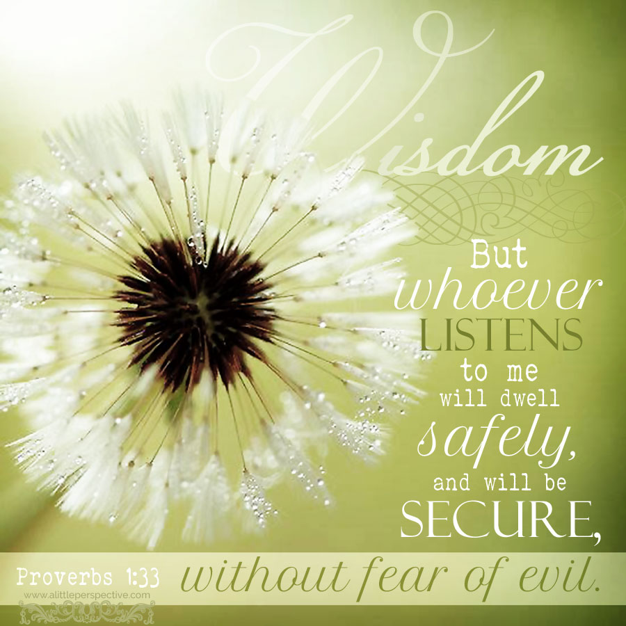 pro-1-33-ww-notrace-9x