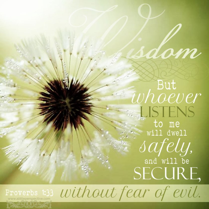 pro-1-33-ww-notrace-9x