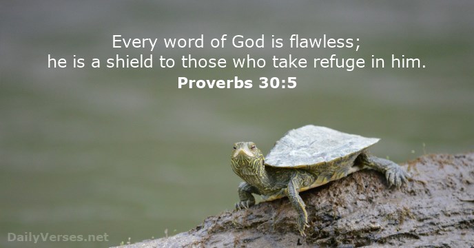 proverbs-30-5