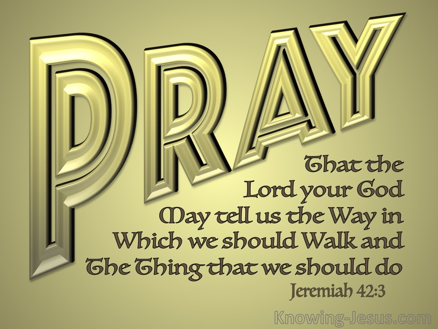 Jeremiah 42-3 Pray That The Lord May Shoe Us The Way gold