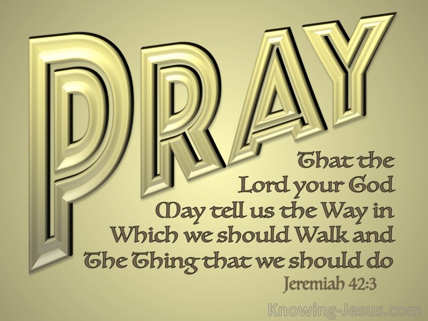 Jeremiah 42-3 Pray That The Lord May Shoe Us The Way gold