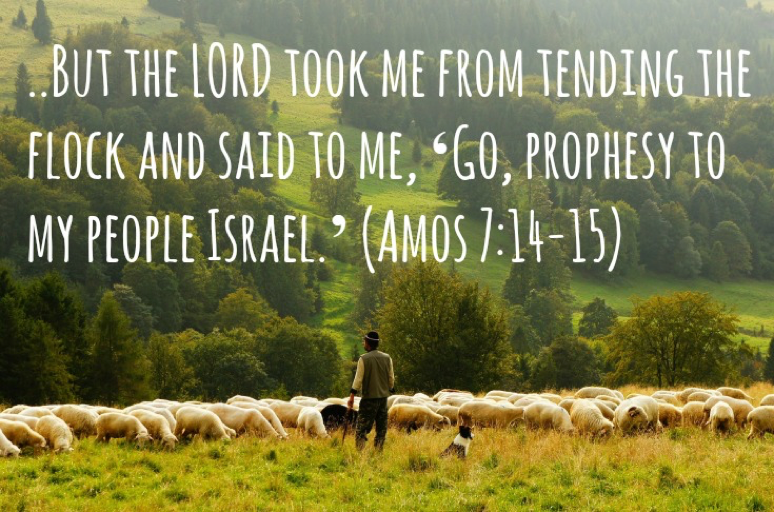 amos 7.png