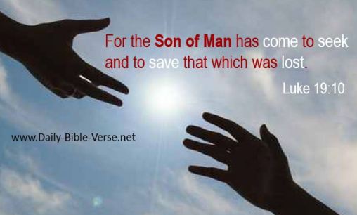 508x306xLuke19-10.jpg.pagespeed.ic.VgcXwAvHSW