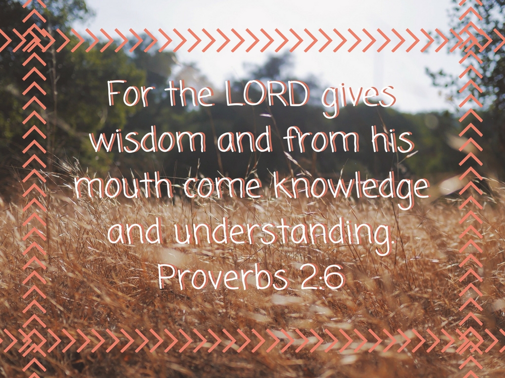 Proverbs 2-6