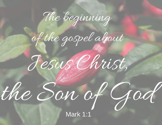 Mark 1-1