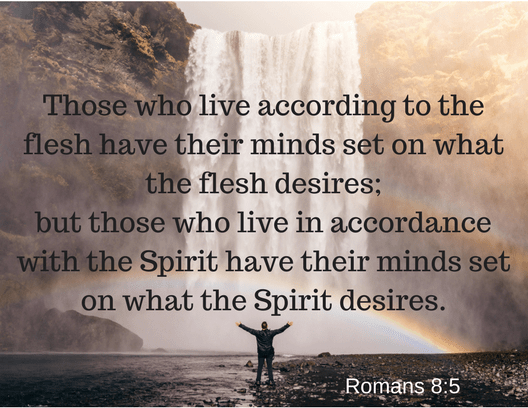 Romans 8-5