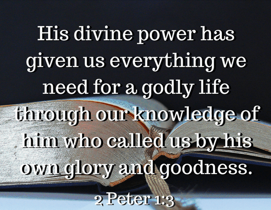 2 Peter 1 3