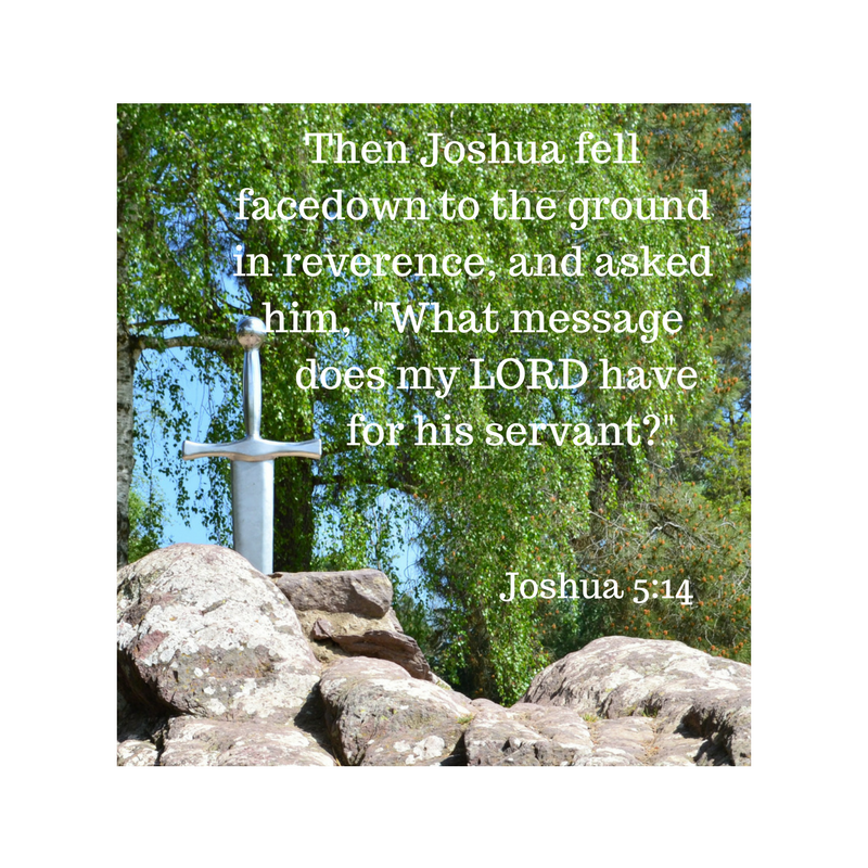 Joshua 5 14 (1)