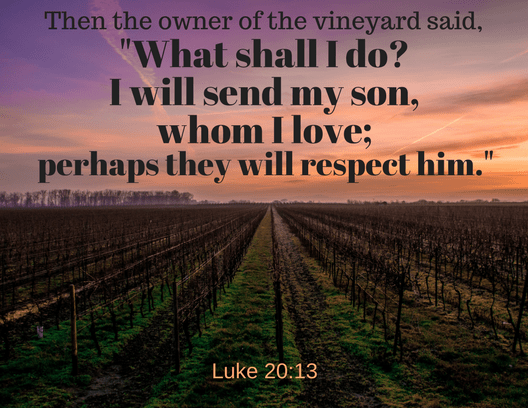 Luke 20 13
