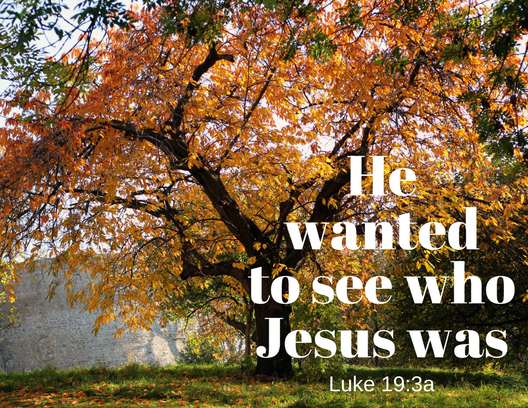 Luke 19_3a
