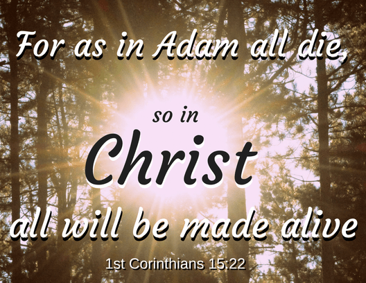 1 Corinthians 15 22