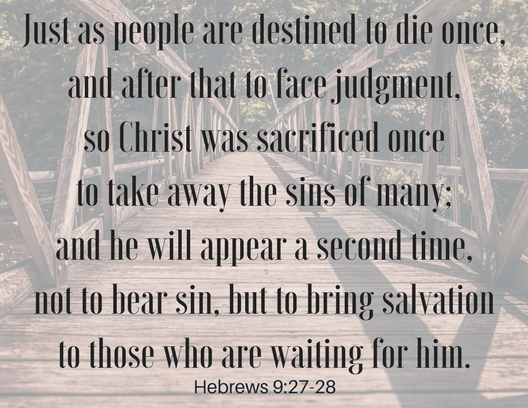 Hebrews 9_27 28