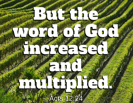 Acts 12 24