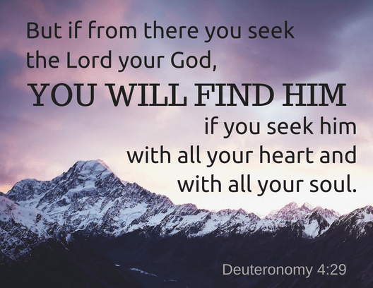 Deut 4 29