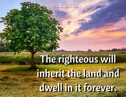 psalm 37 29