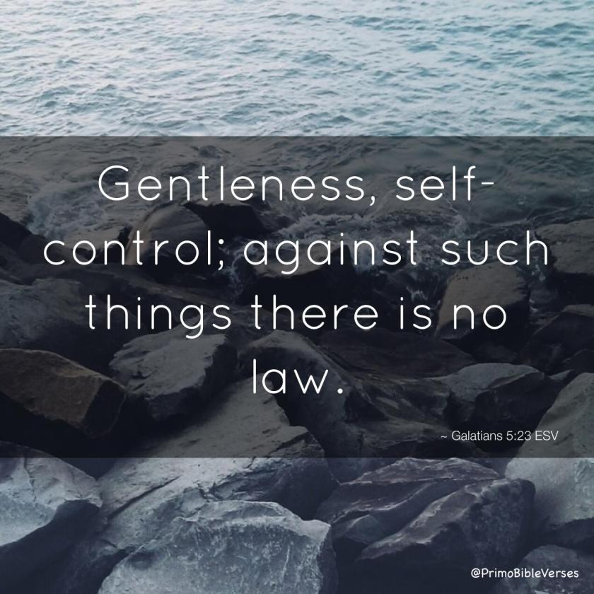 gentleness-self-control-against-such-things-there-is-no-law-esv copy