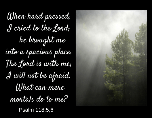 psalm 118 5 6