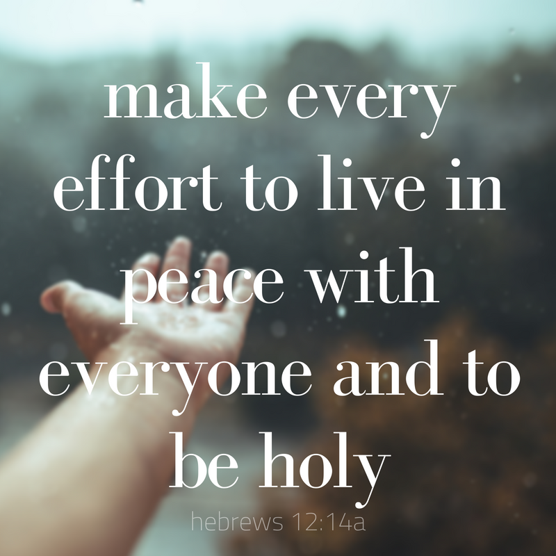 make every effort to live in peace with everyone and to be holy