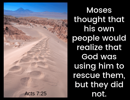 acts 7 25
