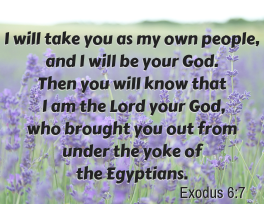 exodus 6 7
