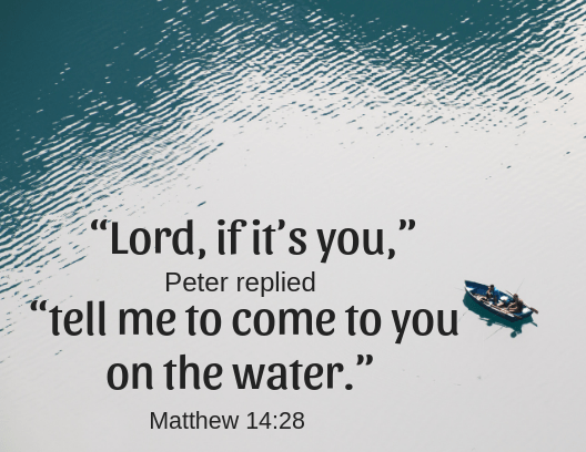Matt 14 28