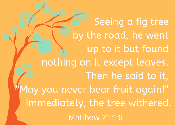 matthew 21 19