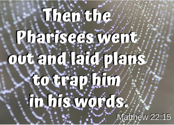 matthew 22 15
