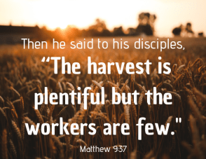 then he said to his disciples, “the harvest is plentiful but the workers are few.