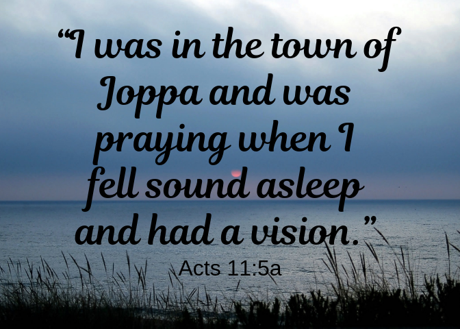 Acts 11 5a