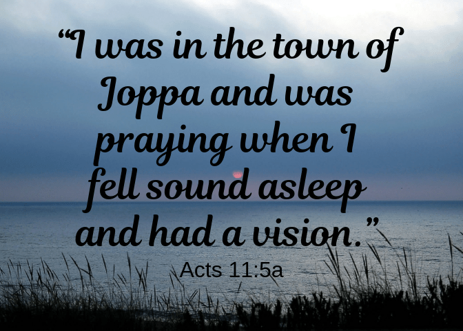 Acts 11 5a