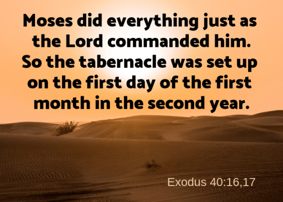 Exodus 40 16 17