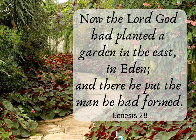 Genesis 2 8