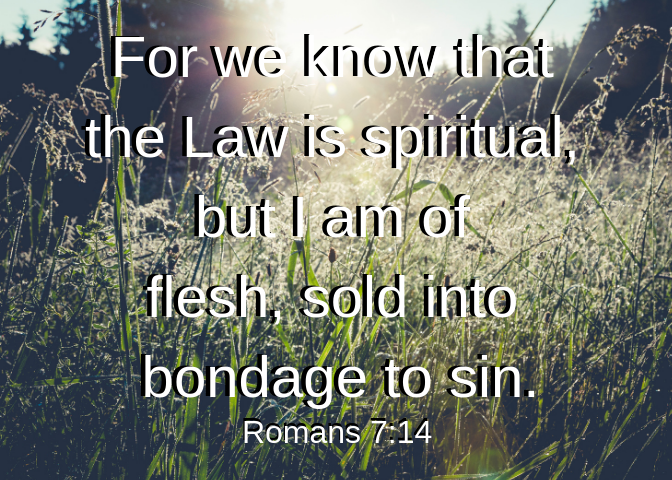 For we know that the Law is spiritual, but I am of flesh, sold into bondage to sin.