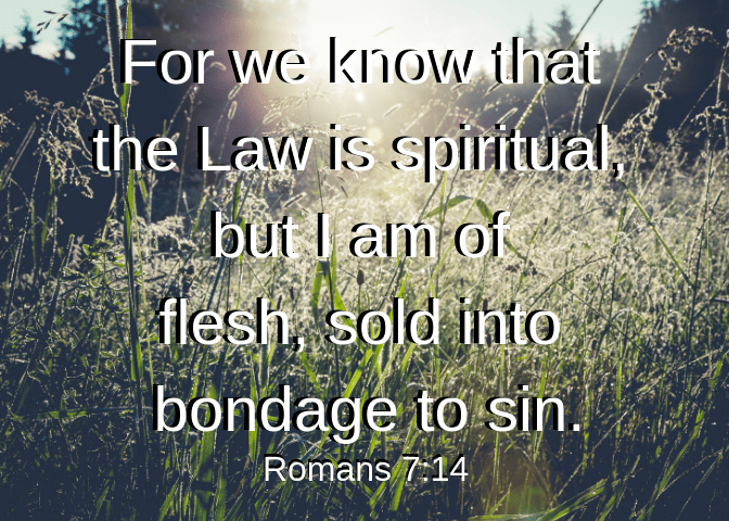 For we know that the Law is spiritual, but I am of flesh, sold into bondage to sin.