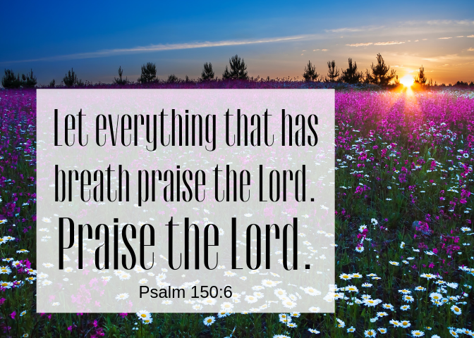 Psalm 150 6