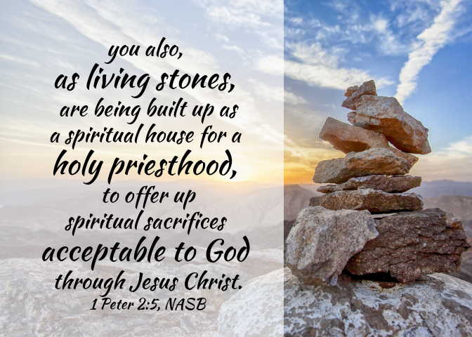 1 Peter 2 5 NASB