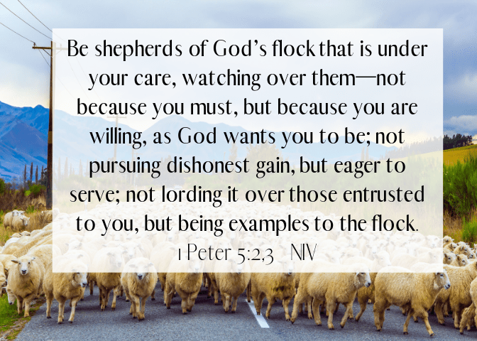 1 Peter 5 2 3 NIV