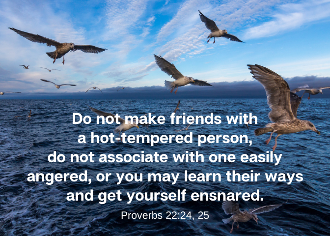 Proverbs 22 24 25