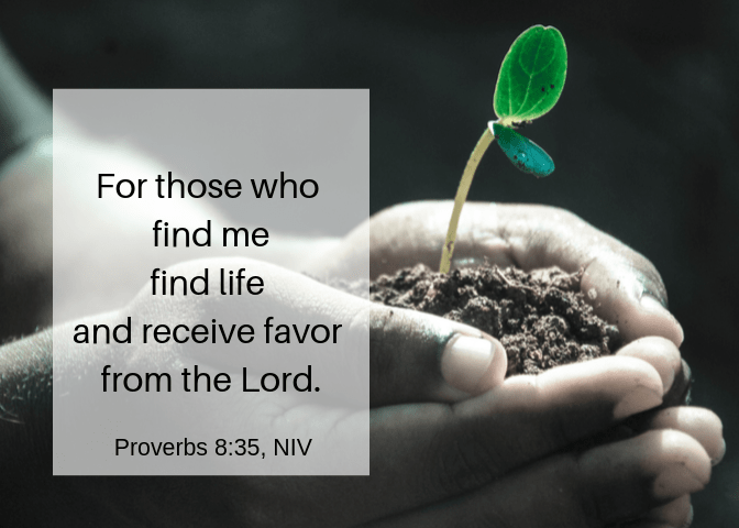 Proverbs 8 35 NIV