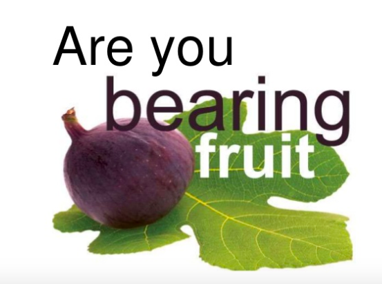 Screen Shot 2019-12-14 at 7.46.31 AM