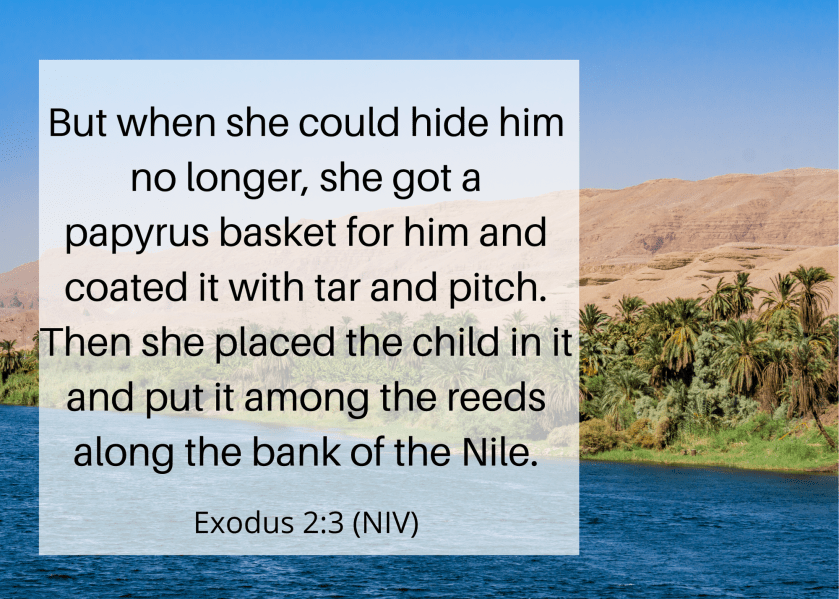 Exodus 2 3 NIV