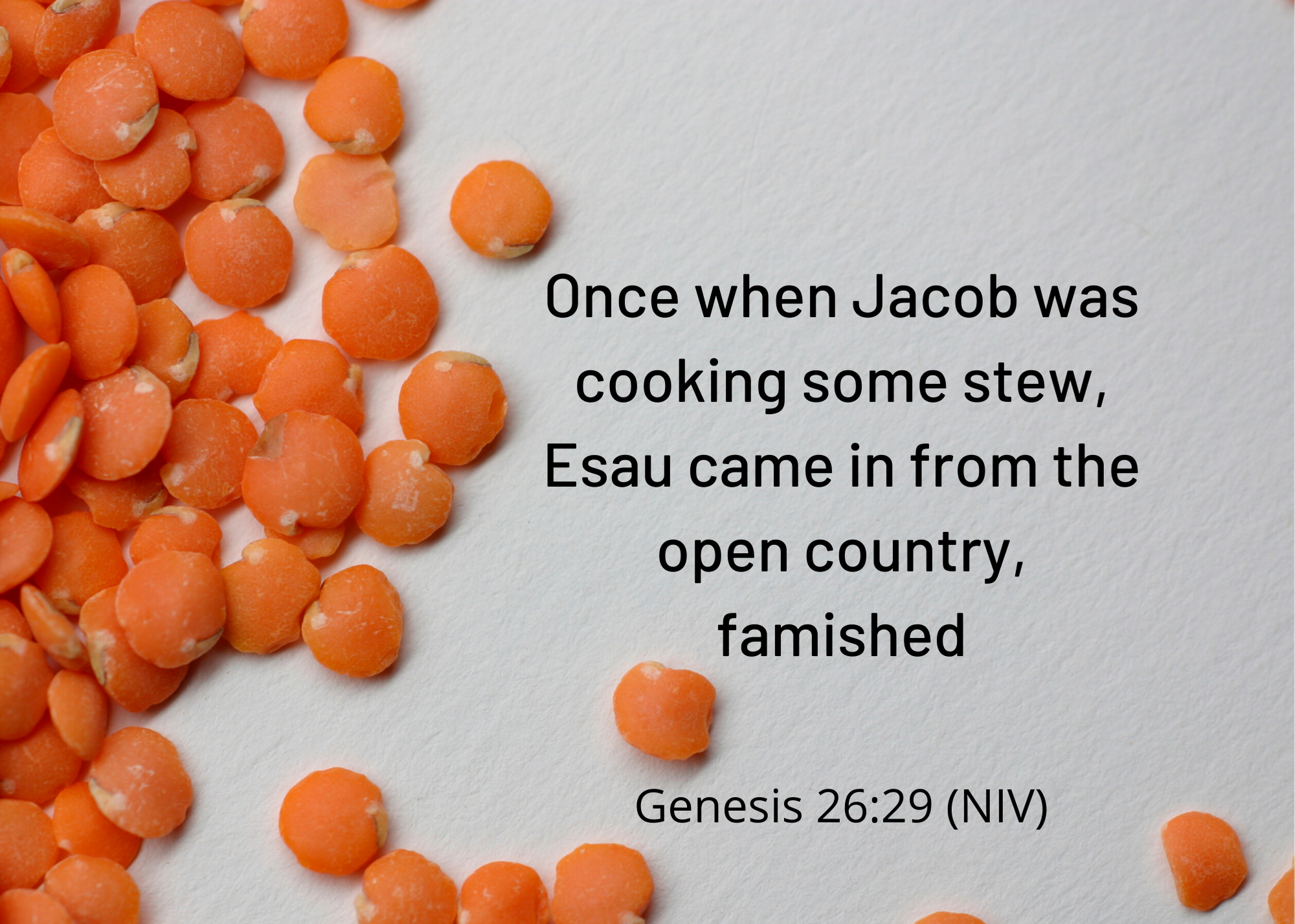 Genesis 26 29 NIV