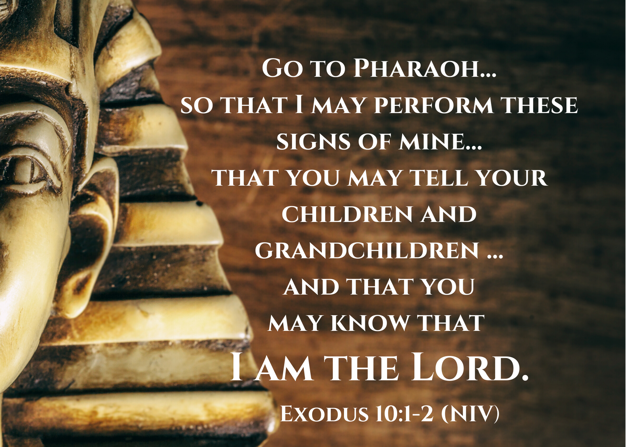 Exodus 10 1 2 NIV
