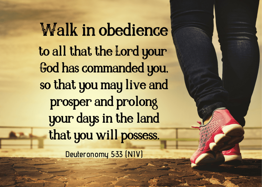 Deuteronomy 5 33 NIV