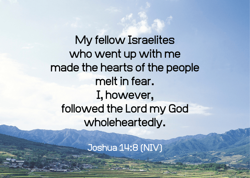 Joshua 14 8 NIV
