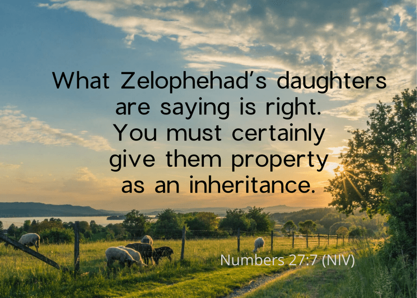 Numbers 27 7 NIV