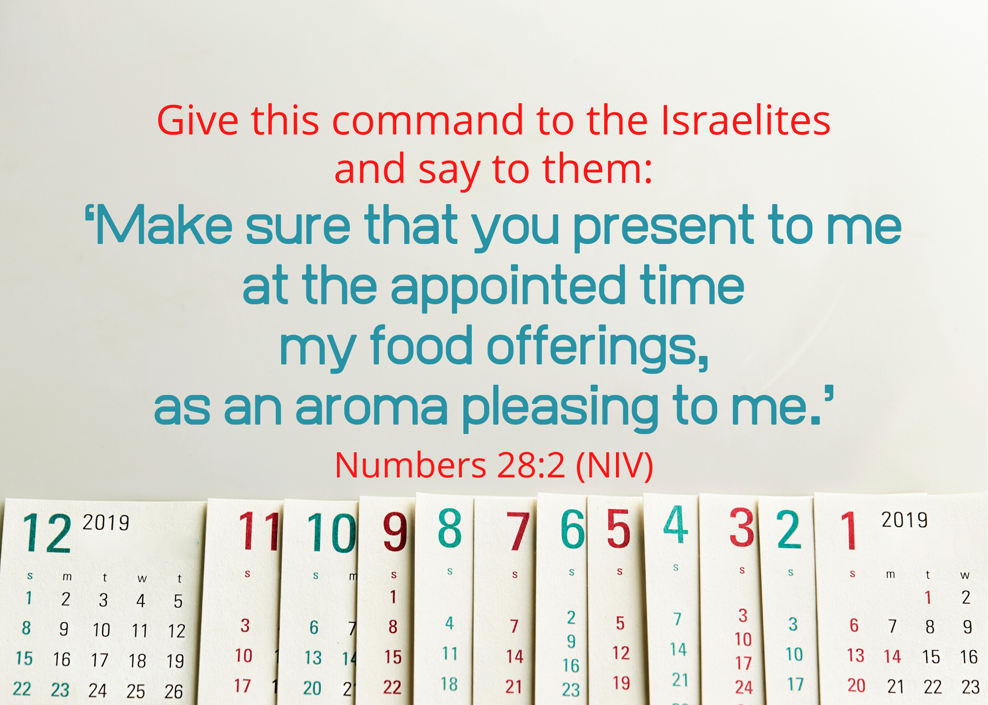 Numbers 28 2 NIV