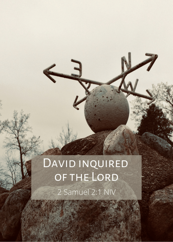 2 Samuel 2 1 NIV