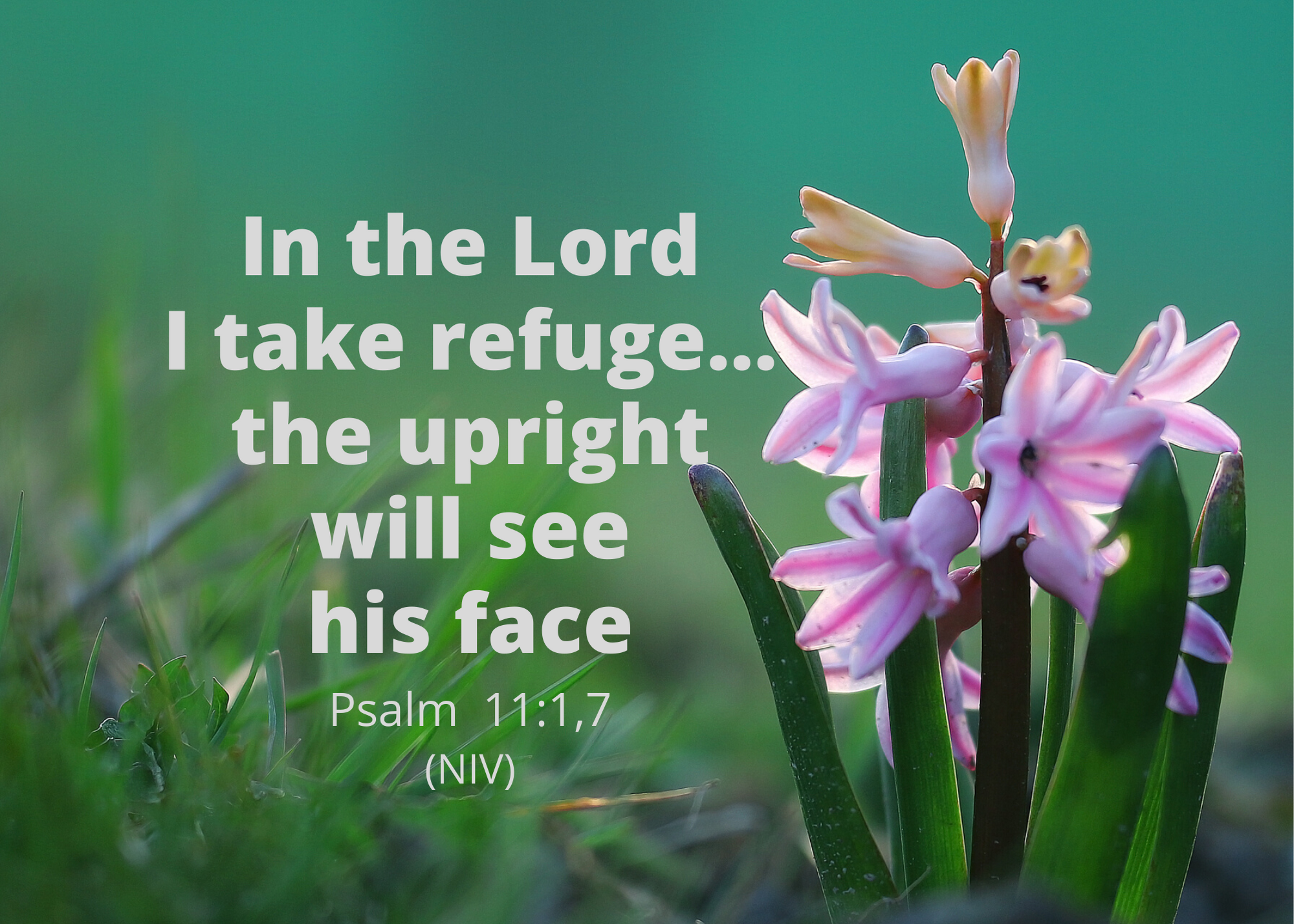Psalm 11 1 7 NIV